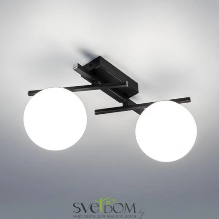 Потолочные светильники CITILUX CL223122 от Магазина Svetdom.by