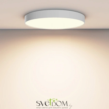 Потолочные светильники Maytoni C032CL-90W3K-RD-W от Магазина Svetdom.by