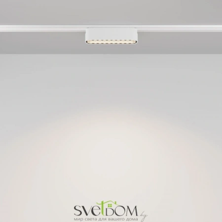 TR084-1-6W4K-W Maytoni