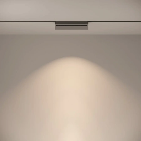 TR013-2-20W4K-B Maytoni