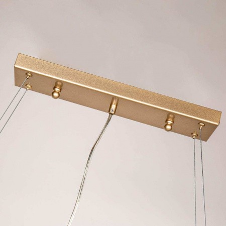 Люстры подвесные3056-10P Favourite | Svetdom.by