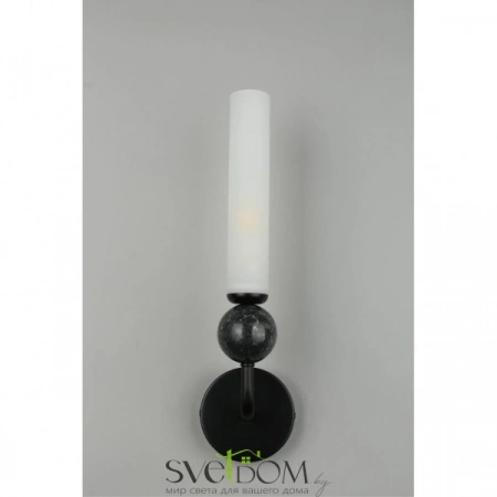 Настенные светильники APL.339.01.01 Aployt | Svetdom.by