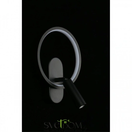 Настенные светильники APL.346.01.02 Aployt | Svetdom.by