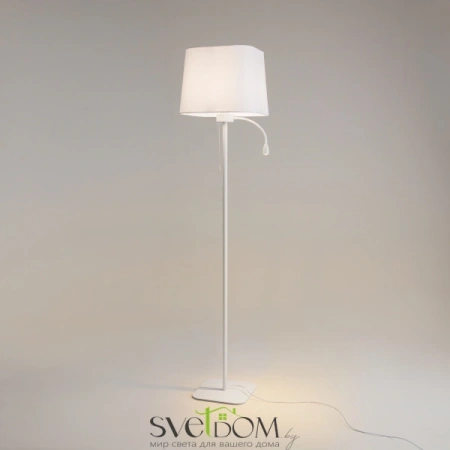 Напольный светильник (торшер) Maytoni Z001FL-L3W-1W Maytoni