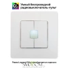 Citilux Смарт-Пульт CLR4W Радиовыключатель двухклавишный Белый CITILUX