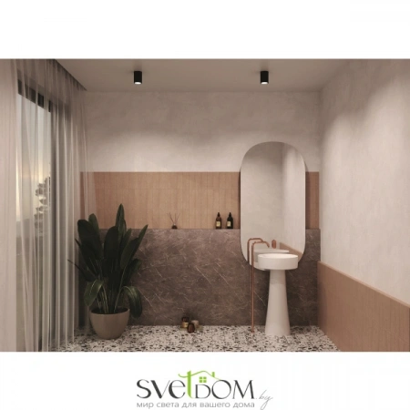 Потолочные светильники Maytoni C029CL-01B от Магазина Svetdom.by