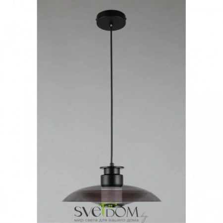 Подвесные светильники Aployt APL.648.06.10 от Магазина Svetdom.by