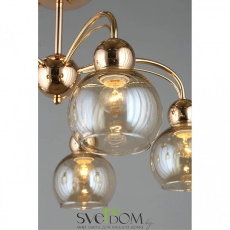 Люстры потолочныеOML-66317-05 Omnilux | Svetdom.by