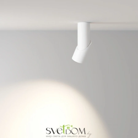 Потолочные светильники Maytoni C027CL-L10W4K от Магазина Svetdom.by