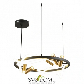 Люстра подвесная Aployt  APL.066.03.45