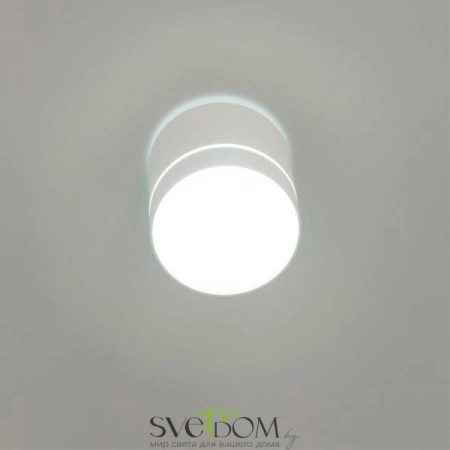 Накладные светильники CITILUX CL745020N от Магазина Svetdom.by