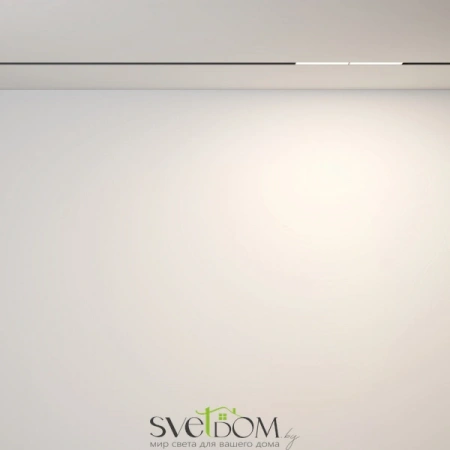 TR106-2-12W3K-B Maytoni