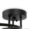 Потолочный светильник Freya FR6048CL-L6B Freya
