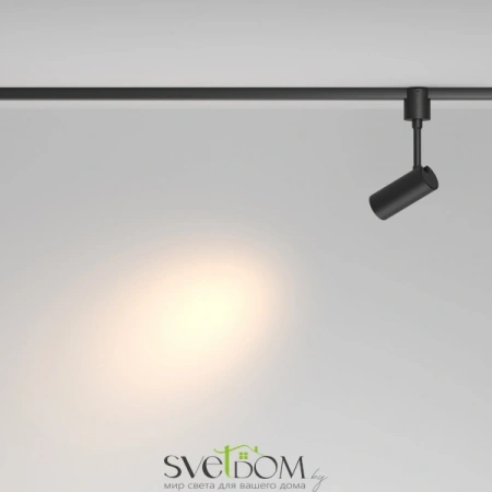 TR163-1-5W3K-M-B Maytoni