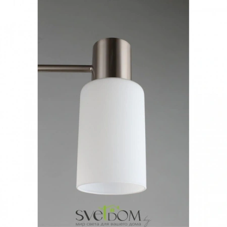 Люстры потолочныеOML-69117-08 Omnilux | Svetdom.by