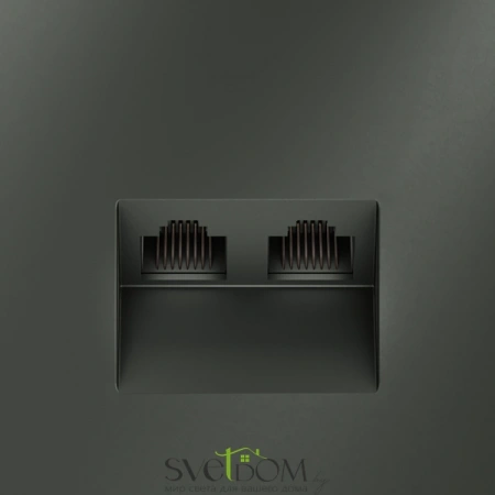 Розетка компьютерная двойная Voltum S70 VLS060206  Voltum