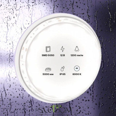 Светодиодная лента 12В 5050 14,4Вт/м 6000K 5м IP65 10133