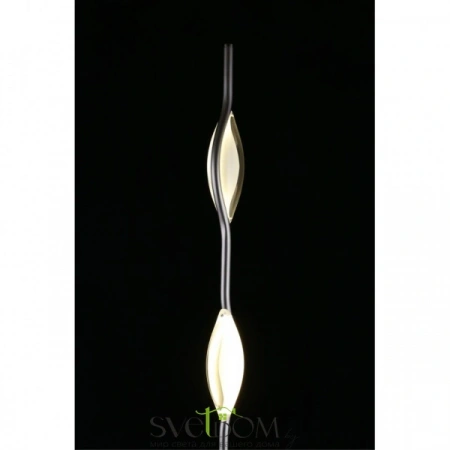 APL.060.05.18 Aployt