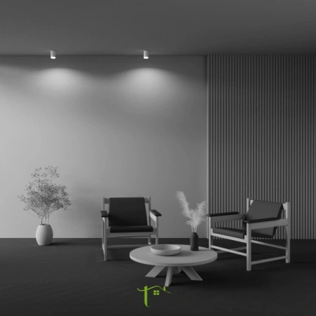 Потолочные светильники Maytoni C008CW-01W от Магазина Svetdom.by