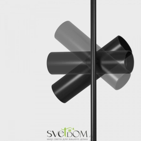 Потолочные светильники Maytoni C021CL-02B от Магазина Svetdom.by