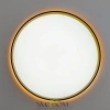 CITILUX CL750401R ETALON Черный+Золото с пультом и RGB CITILUX