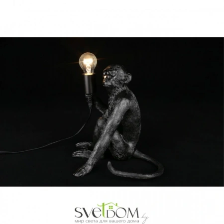 APL.309.24.01 Aployt