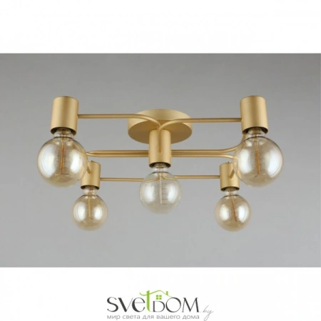 Люстры потолочныеAPL.911.07.05 Aployt | Svetdom.by