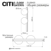 Бра Citilux GLOB CL209423 CITILUX