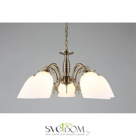 Люстры подвесныеOML-56407-05 Omnilux | Svetdom.by