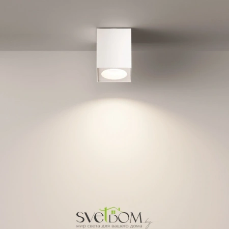 Потолочные светильники Maytoni C030CL-01W от Магазина Svetdom.by