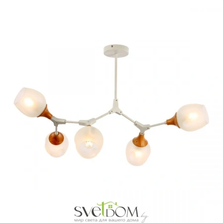 Потолочные светильники EVOLUCE SLE113502-05 от Магазина Svetdom.by