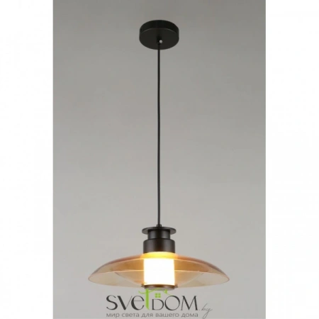 Подвесные светильники Aployt APL.648.16.10 от Магазина Svetdom.by