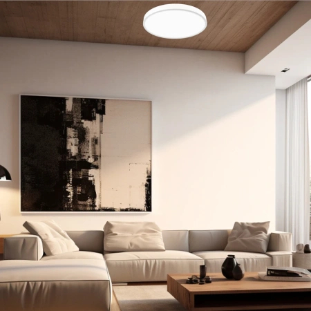 Потолочный светильник Citilux Купер CL72424V0 CITILUX