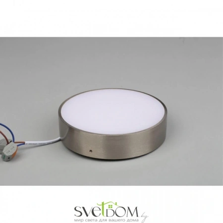 Настенно-потолочные светильники Aployt APL.0114.19.18 от Магазина Svetdom.by