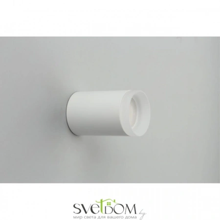 Накладные светильники Omnilux OML-100709-01 от Магазина Svetdom.by