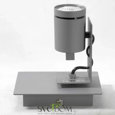 Настенный светильник Lussole Dillingham LSP-8022 Gu10 Lussole