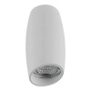 Lightstar 214466