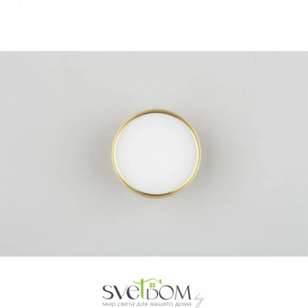 Накладные светильники Omnilux OML-103329-06 от Магазина Svetdom.by