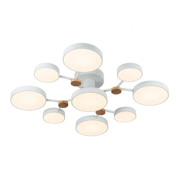 Потолочные светильники LED4U L3201-780 WT от Магазина Svetdom.by