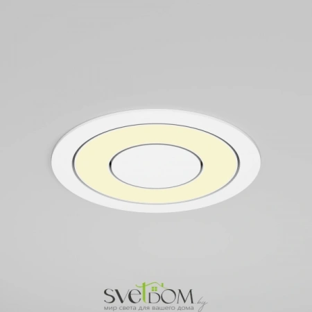 Встраиваемые светильники Maytoni DL102-12W2.7K-W от Магазина Svetdom.by