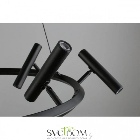 Люстры подвесныеAPL.067.03.40 Aployt | Svetdom.by