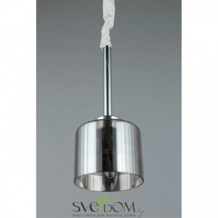Подвесные светильники Omnilux OML-55806-01 от Магазина Svetdom.by