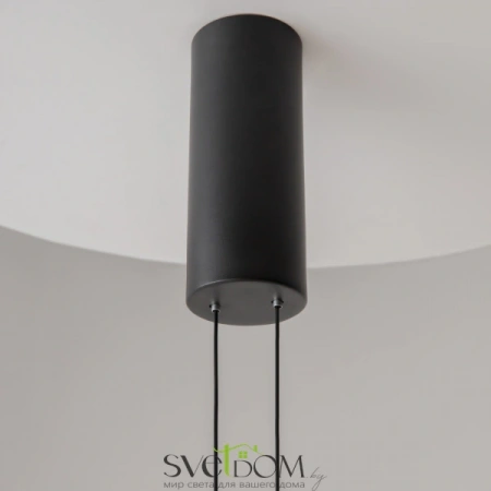 Подвесные светильники Maytoni MOD396PL-L10W3K от Магазина Svetdom.by