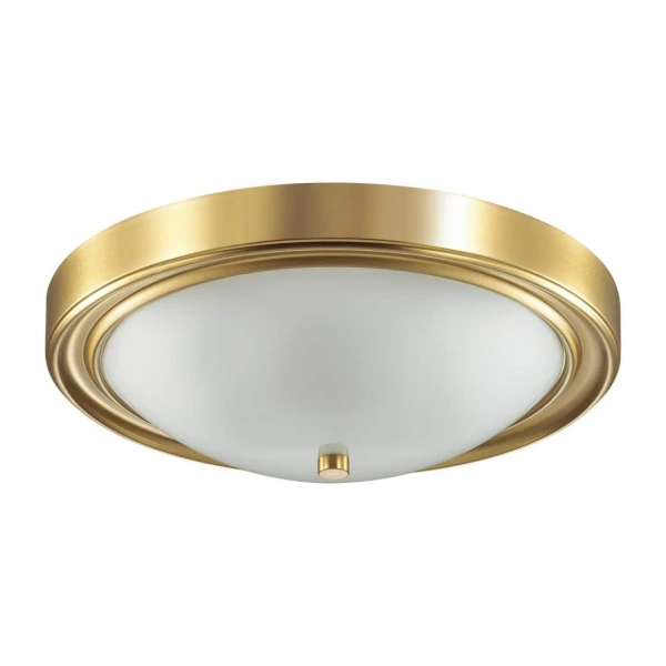 Настенно-потолочные светильники LUMION 5259/3C от Магазина Svetdom.by