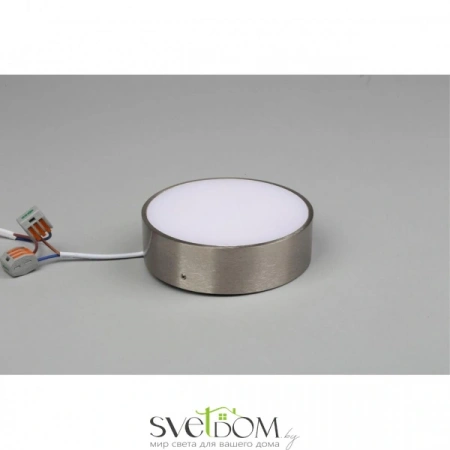 Настенно-потолочные светильники Aployt APL.0114.19.12 от Магазина Svetdom.by