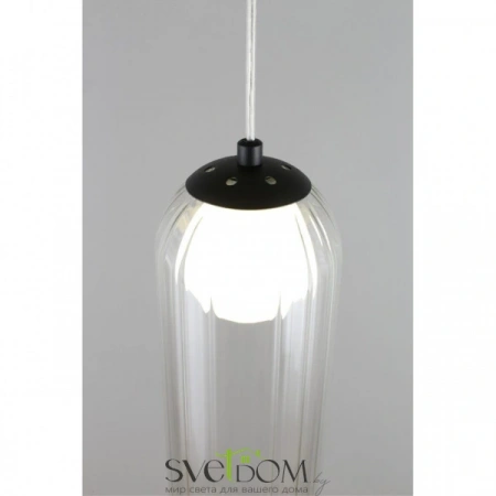 Подвесные светильники Aployt APL.325.16.01 от Магазина Svetdom.by