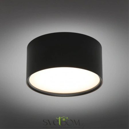 Накладные светильники Omnilux OML-103319-12 от Магазина Svetdom.by