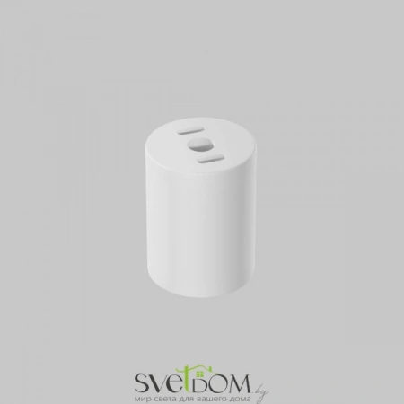 Потолочные светильники Maytoni C001CL-GU10-W от Магазина Svetdom.by