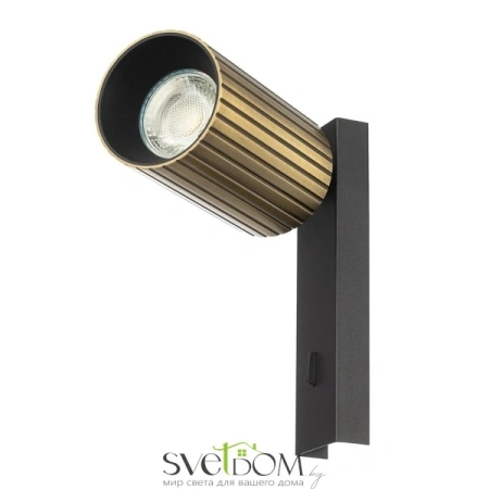 CL512513R CITILUX