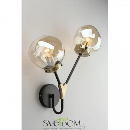 Настенные светильники OML-95101-02 Omnilux | Svetdom.by